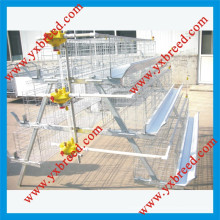 China Silver Star Poultry Cage